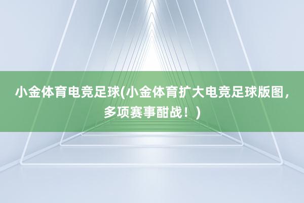 小金体育电竞足球(小金体育扩大电竞足球版图，多项赛事酣战！)