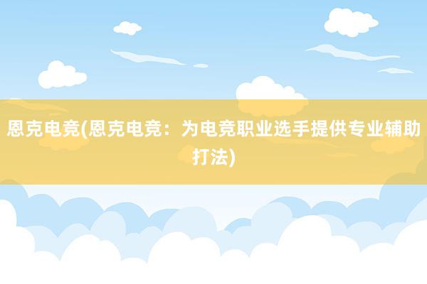 恩克电竞(恩克电竞：为电竞职业选手提供专业辅助打法)