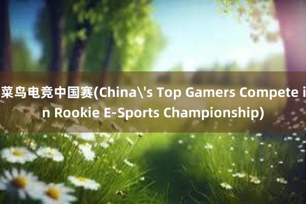 菜鸟电竞中国赛(China's Top Gamers Compete in Rookie E-Sports Championship)