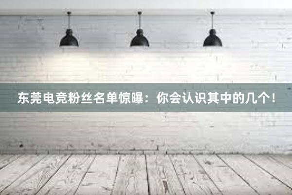 东莞电竞粉丝名单惊曝：你会认识其中的几个！