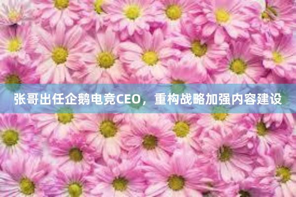 张哥出任企鹅电竞CEO，重构战略加强内容建设