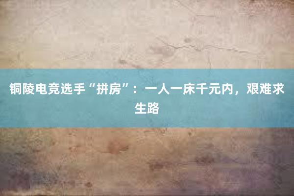 铜陵电竞选手“拼房”：一人一床千元内，艰难求生路